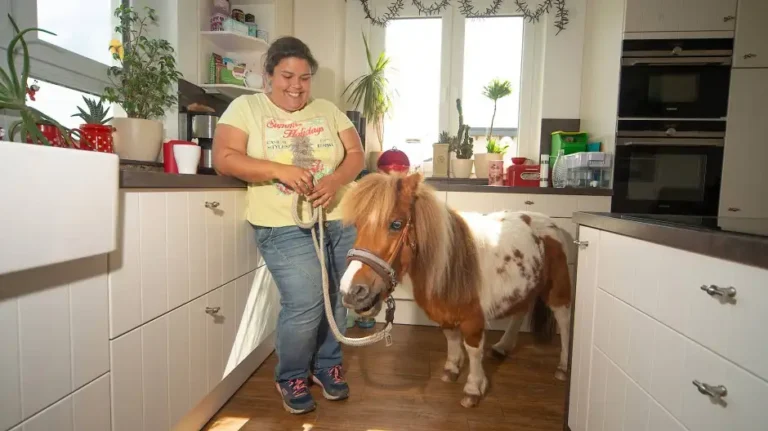 Ann Kathrin Linsenhoff Vermögen